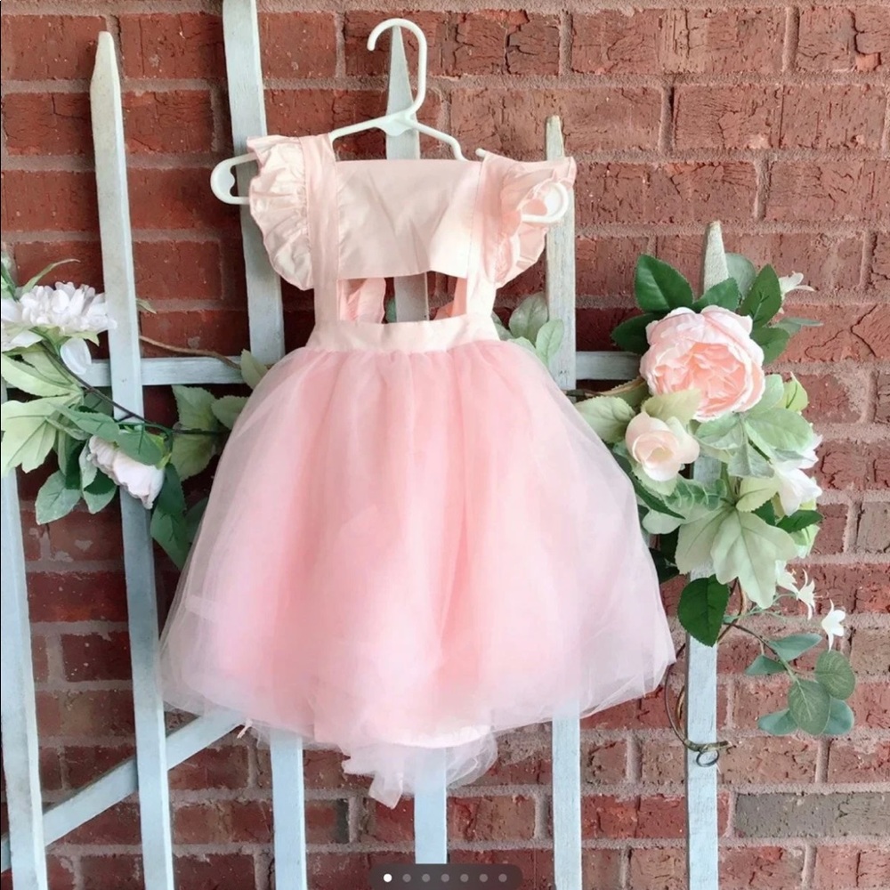 2t tutu toddler girl